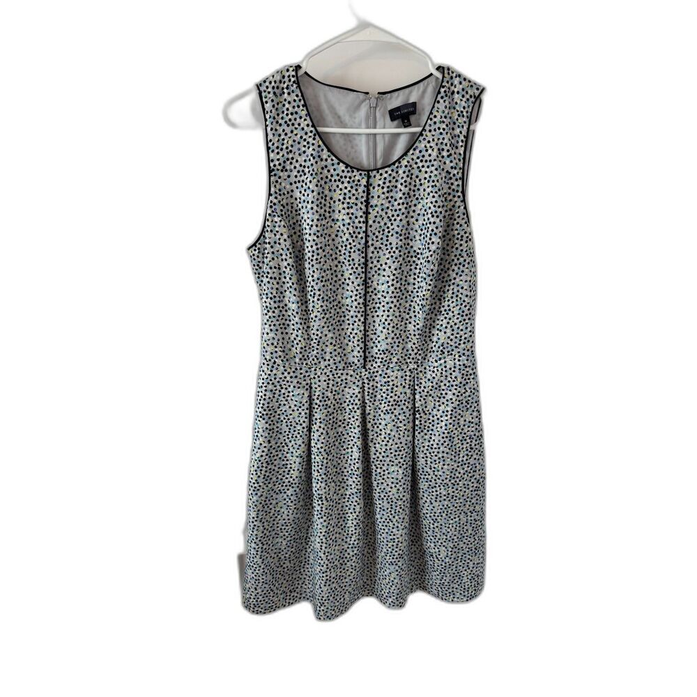 The Limited Dress